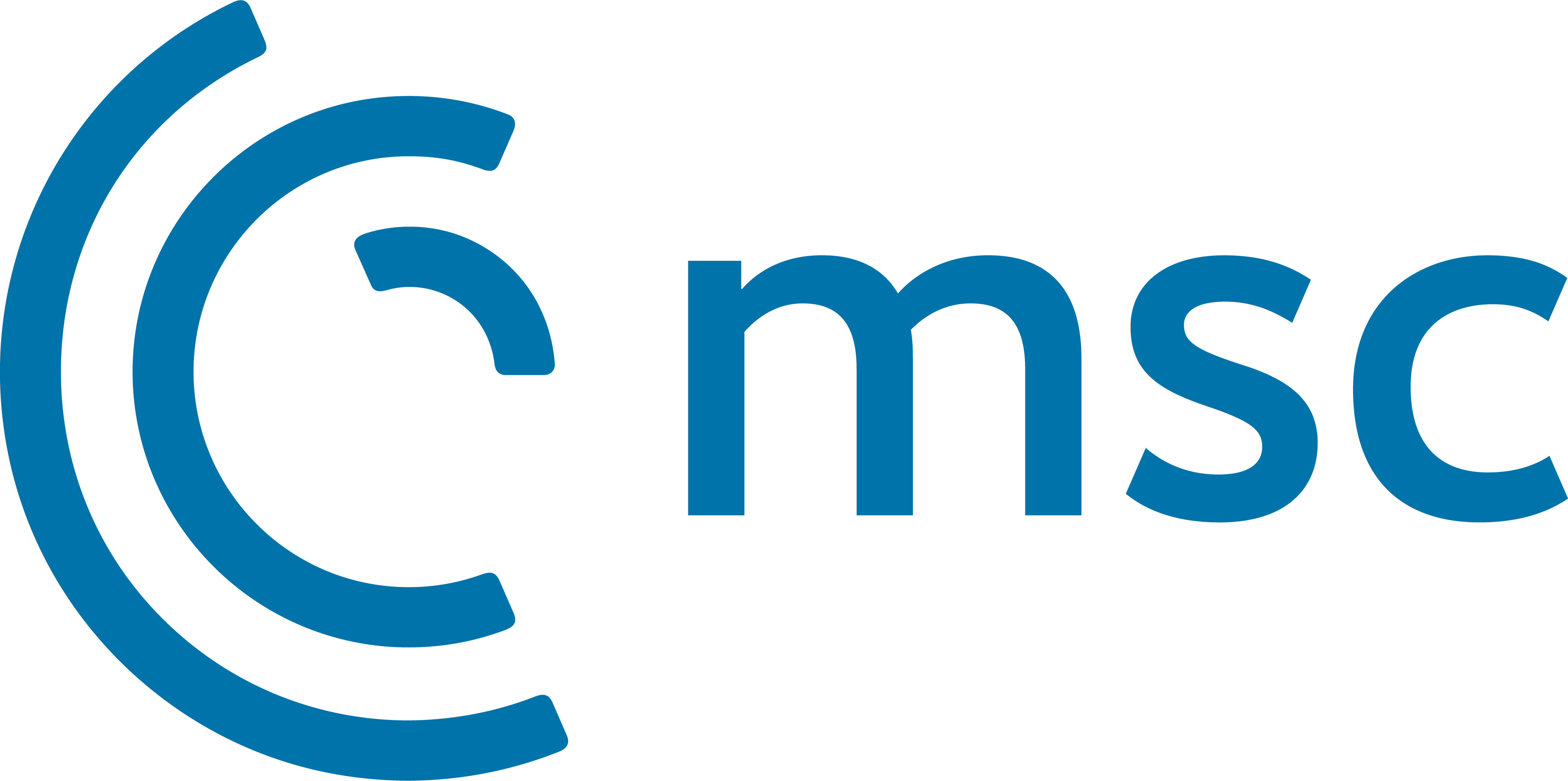 Logo aus blauen Buchstaben MSC