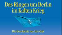 Harald van Nes Das Ringen um Berlin_Cover