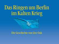 Harald van Nes Das Ringen um Berlin_Cover