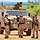 Schießtraining in Mali