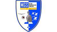 Logo blau weiß mit 3 aufsteigenden Flugzeugen und dem Wappen des Geschwaders