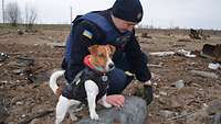 Minensuchhund