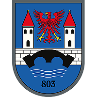 Verbandswappen PzPiBtl 803