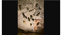 Berühungspunkt Hände aus der Wand