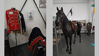 Reiteruniform und Pferd
